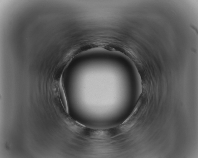X0000096460237200801311519