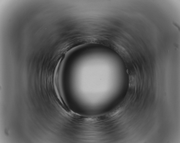 X0000096460238200801311519