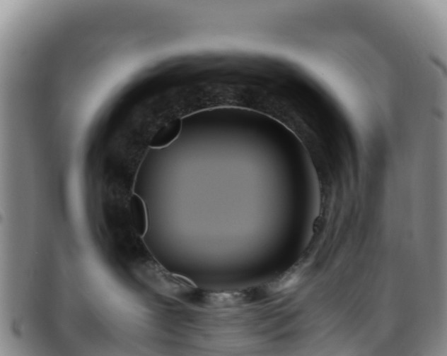 X0000096460239200801311519