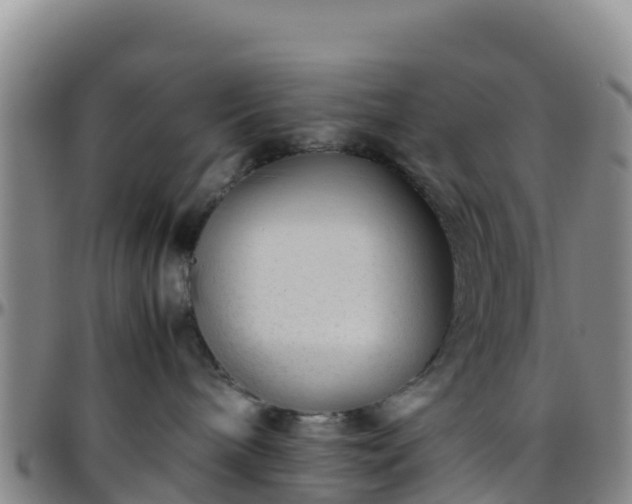 X0000096460240200801311519