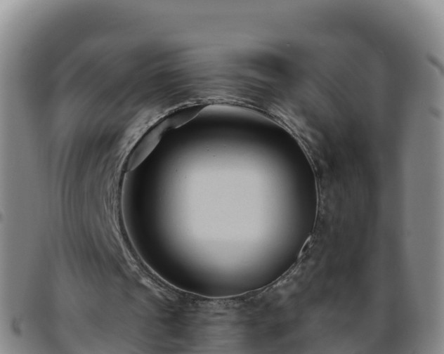 X0000096460241200801311518