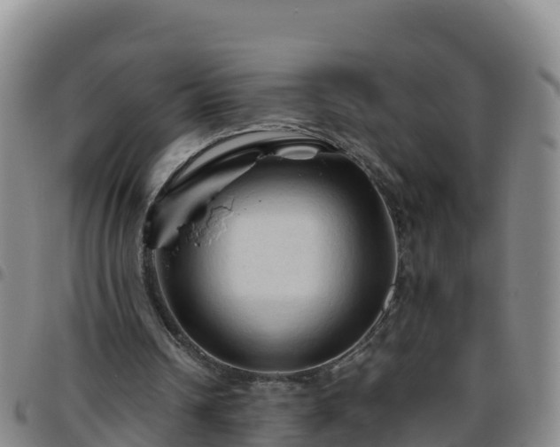 X0000096460242200801311518