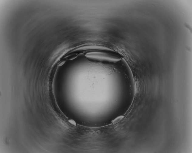 X0000096460243200801311518