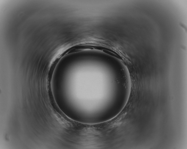 X0000096460244200801311518