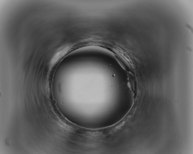 X0000096460245200801311518