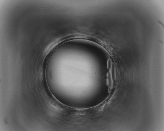 X0000096460247200801311518