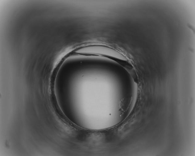 X0000096460248200801311518