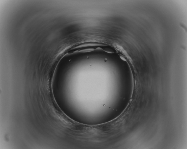 X0000096460249200801311518