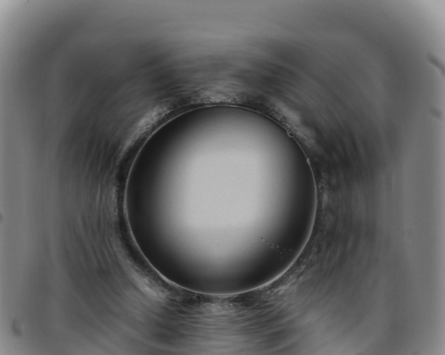X0000096460250200801311518