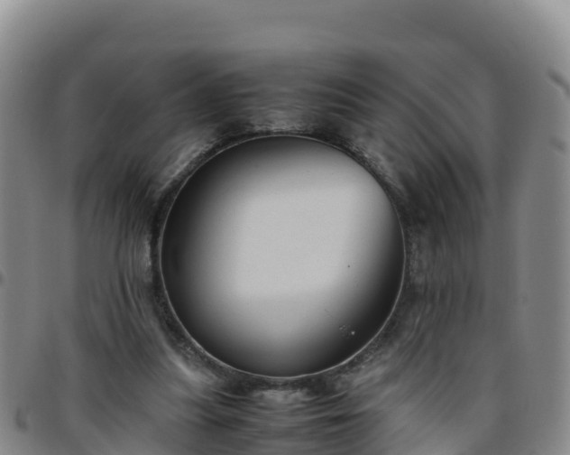 X0000096460251200801311518