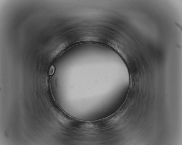 X0000096460253200801311518