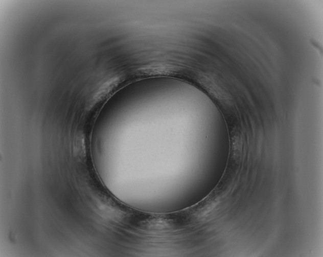 X0000096460254200801311518