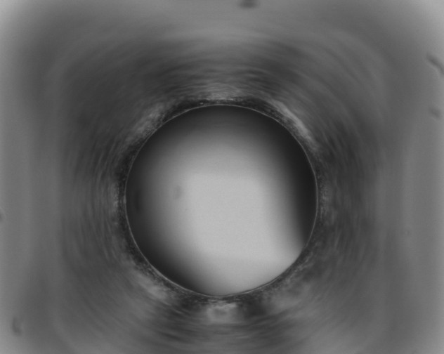 X0000096460257200801311518