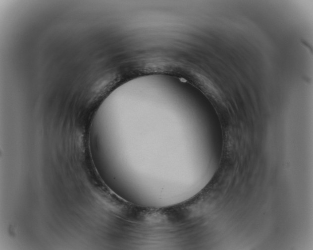 X0000096460258200801311518