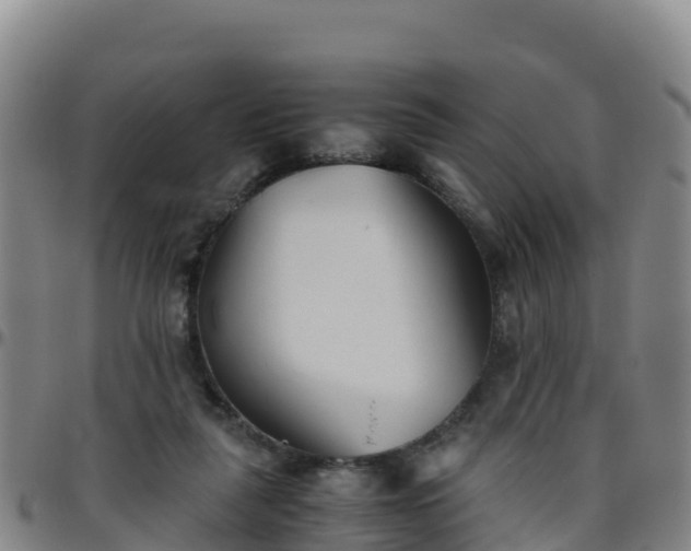 X0000096460259200801311518