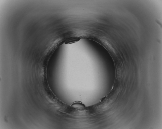 X0000096460260200801311518