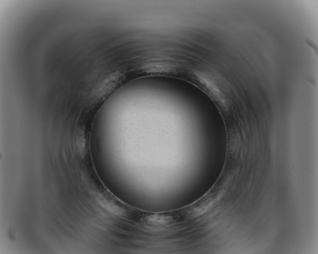 X0000096460261200801311518