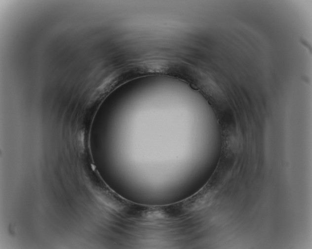 X0000096460262200801311518