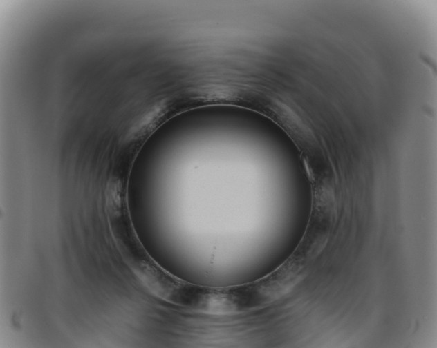X0000096460264200801311518