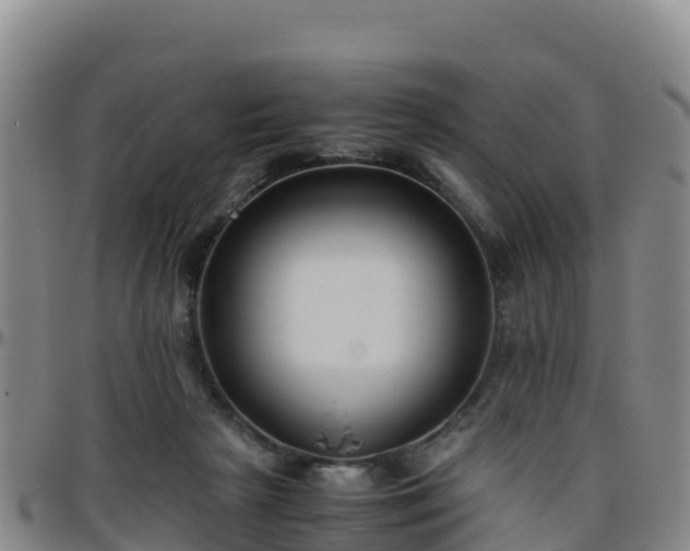 X0000096460265200801311518