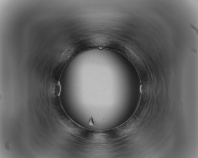 X0000096460268200801311518