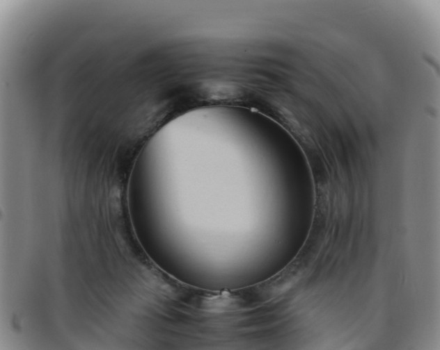 X0000096460269200801311518