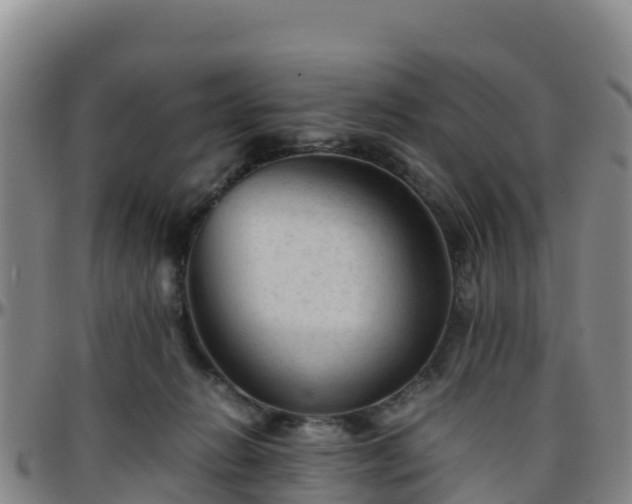 X0000096460270200801311518