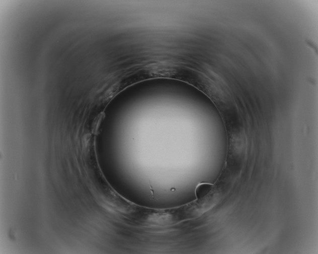 X0000096460271200801311518