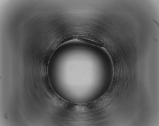 X0000096460272200801311518
