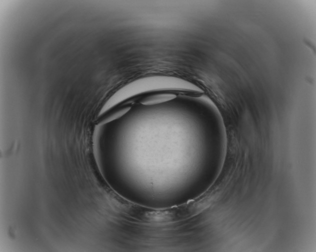 X0000096460273200801311518