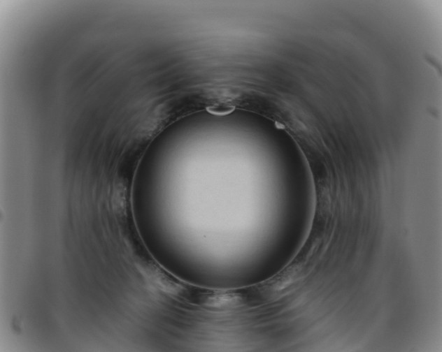 X0000096460274200801311518