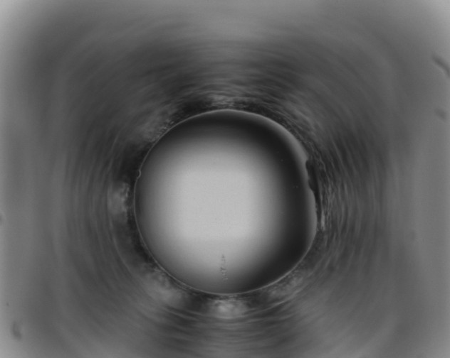 X0000096460275200801311518