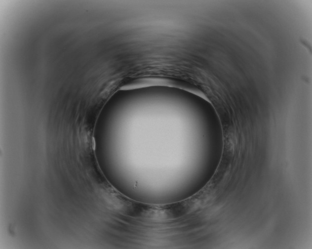 X0000096460276200801311518