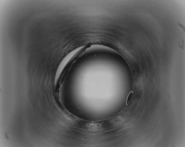 X0000096460277200801311518