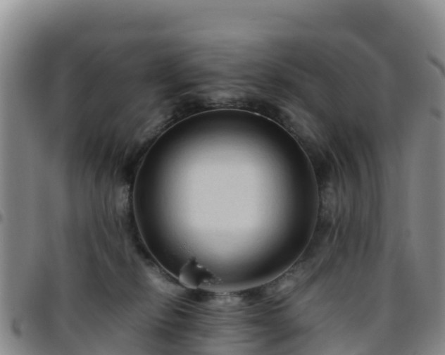 X0000096460278200801311518