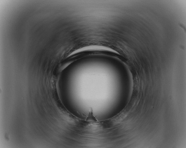 X0000096460280200801311518