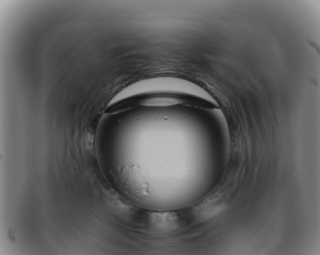 X0000096460281200801311518
