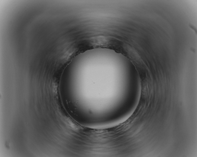 X0000096460282200801311518