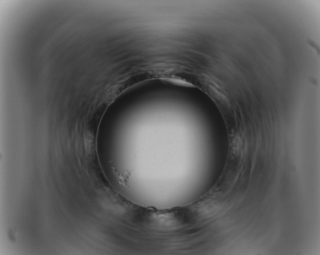 X0000096460283200801311518