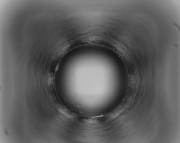 X0000096460284200801311518