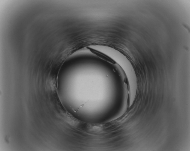 X0000096460285200801311519