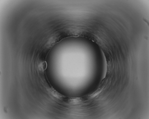 X0000096460286200801311519