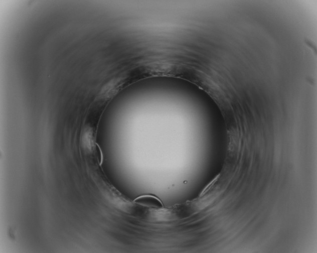 X0000096460287200801311519