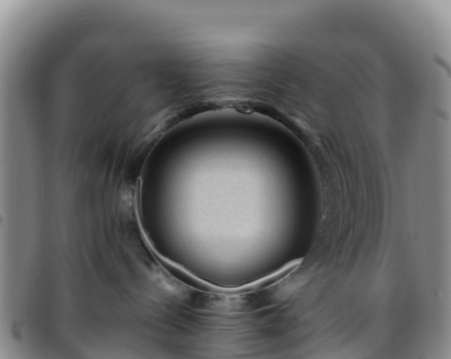 X0000096460288200801311519