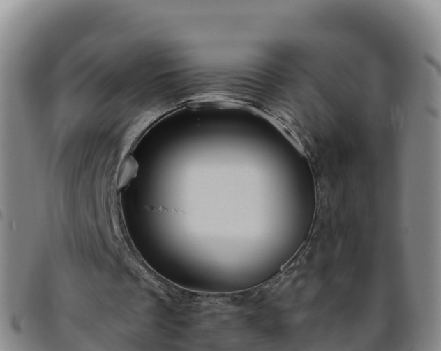 X0000096460289200801311518