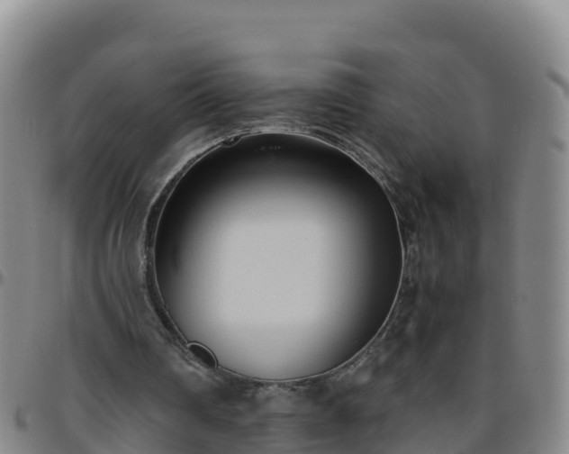 X0000096460290200801311518