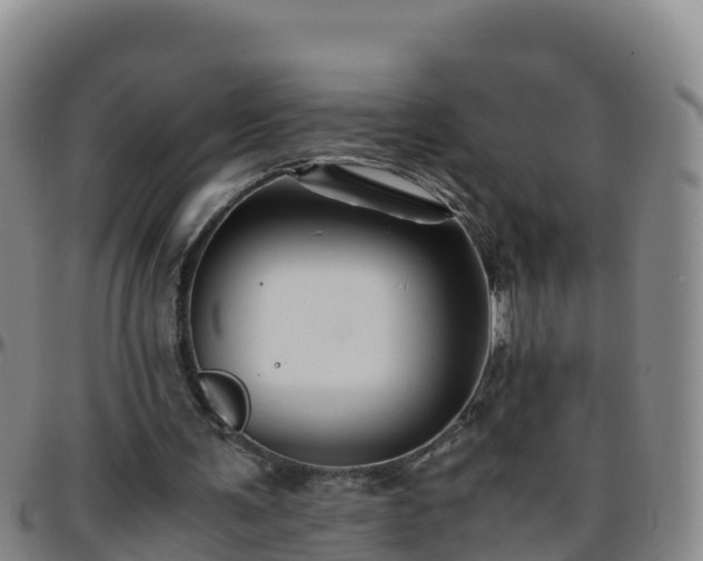 X0000096460291200801311518