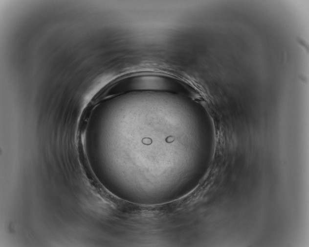 X0000096460292200801311518