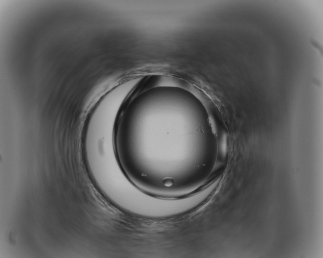 X0000096460293200801311518