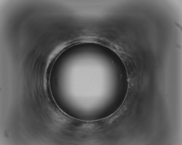 X0000096460294200801311518